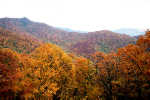 Blue Ridge Parkway