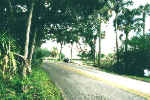 Tomoka State Park