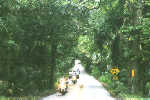 Tomoka State Park
