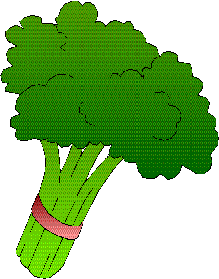 Head of Broccoli