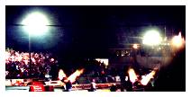Top Fuel Dragsters (exhaust flames)